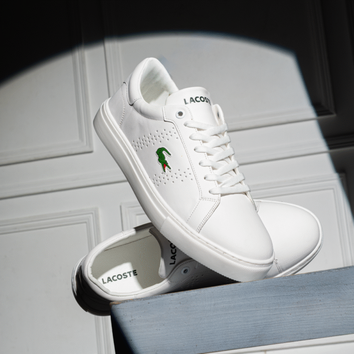 ⁦حذاء لاكوست سنيكر Lacoste Sneaker SV75⁩ - الصورة ⁦6⁩